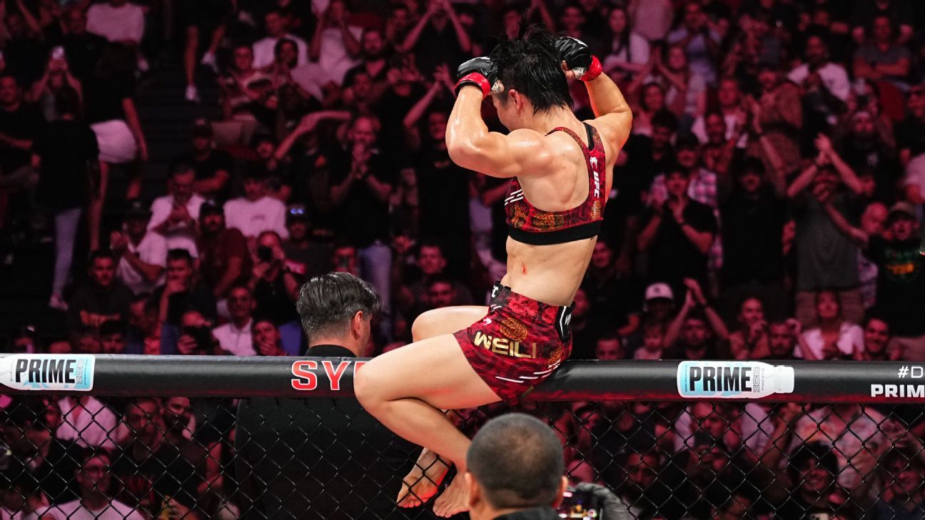 這些聯賽為 這些聯賽為