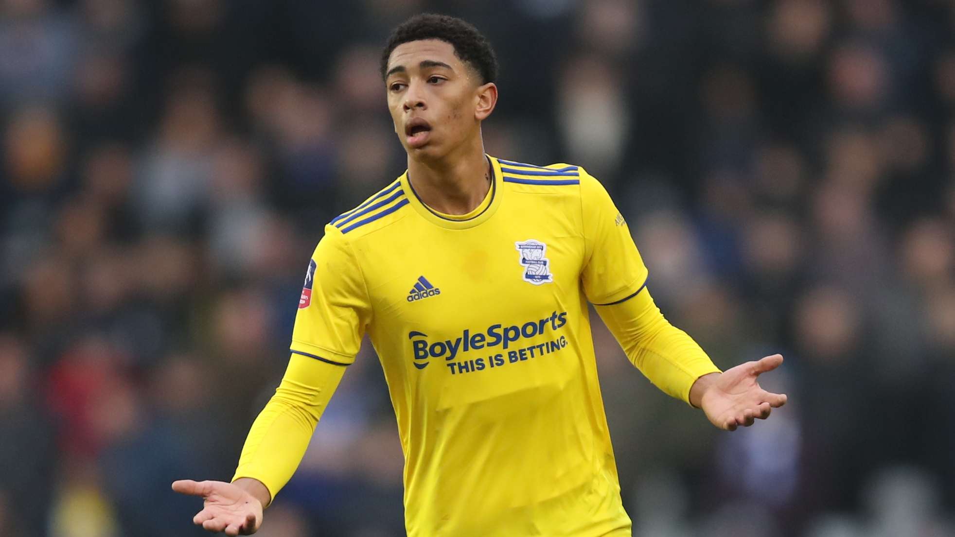 我们提供了 我们提供了